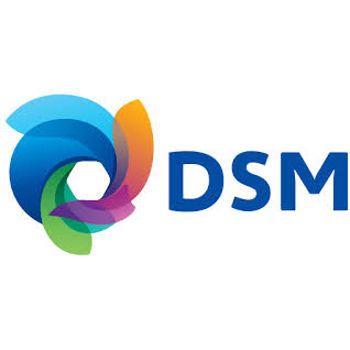 Dsm